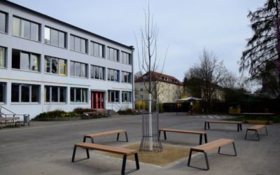 Ein Baum für unseren Schulhof!