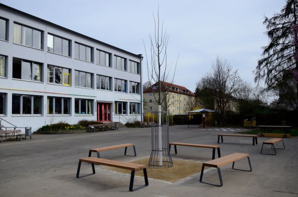 Ein Baum für unseren Schulhof!